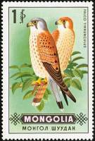 (1970-027) Марка Монголия "Пустельга"    Хищные птицы III O