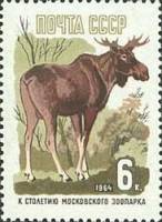 1964-076 Марка СССР Лось Перф греб. (18 июня)   100 лет Московскому зоопарку II O