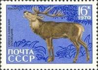 1970-074 Марка СССР Изюбр  Сихотэ-Алинский заповедник, 35 лет II O