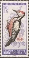 (1966-034) Марка Венгрия "Средний пёстрый дятел" ,  III O