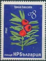 (1976-091) Марка Болгария "Тис ягодный"   Цветение III Θ
