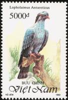 (1992-084) Марка Вьетнам "Чубатый плодоядный голубь"    Голуби III Θ