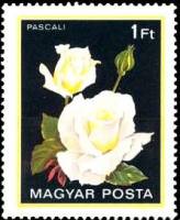 (1982-016) Марка Венгрия "Паскали"    Розы II Θ