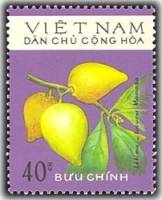 (1975-020) Марка Вьетнам "Сапота"   Фрукты III O
