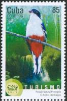 (№5556) Марка Куба 2011 год "Кубинский Трогон Priotelus temnurus", Негашеная