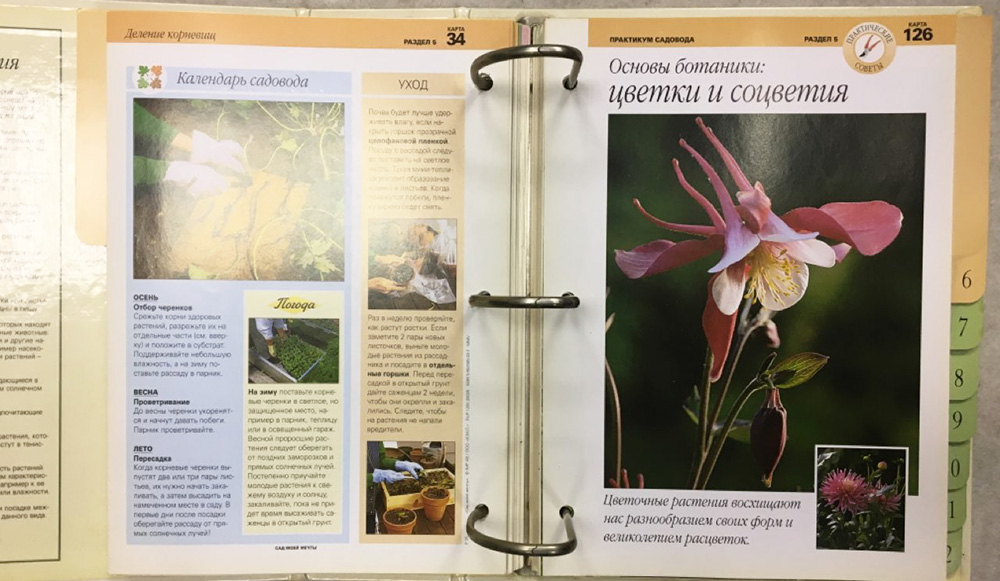 Альбом "Сад моей мечты" (сост. на фото)