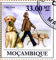 (№2009-3430) Марка Мозамбик 2009 год "200-летию Луи Брайля 18091852", Гашеная