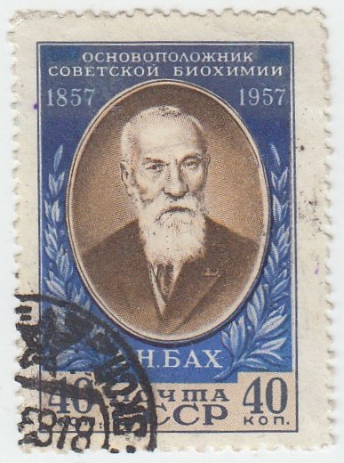 1957-042 Марка СССР Портрет (Перф греб 12:12&frac12;)   А.Н. Бах. 100 лет со дня рождения I &Theta;