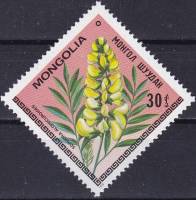 (1979-018) Марка Монголия "Софора обыкновенная"    Цветы III Θ