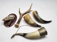 Рога натуральные 5 шт обработанные декоративные на цепочке