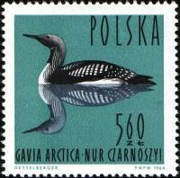 (1964-040) Марка Польша "Чернозобая гагара"   Водоплавающие птицы III Θ
