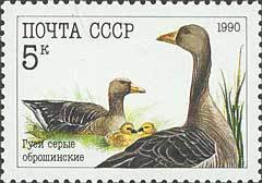 (1990-060) Марка СССР &quot;Гуси серые&quot;   Домашние птицы II Θ