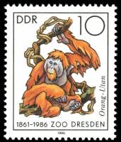 (1986-031) Марка Германия (ГДР) "Суматранский орангутан"    Зоопарк, Дрезден II Θ