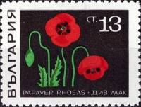 (1969-007) Марка Болгария "Мак"   Лекарственные растения II Θ