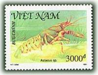 (1991-048) Марка Вьетнам "Широкопалый речной рак"    Ракообразные III Θ