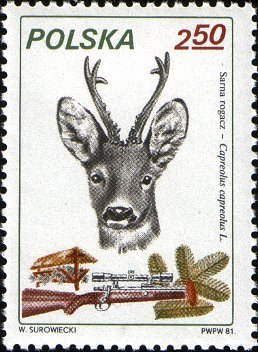 (1981-023) Марка Польша &quot;Косуля&quot;    Охота III Θ