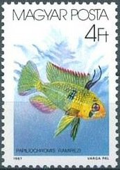 (1987-004) Марка Венгрия "Апистограмма Рамиреса"    Декоративные рыбки II &Theta;