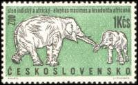(1962-024) Марка Чехословакия "Слон"    Животные III Θ