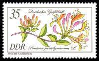 (1981-007) Марка Германия (ГДР) "Жимолость вьющаяся"    Растения III Θ
