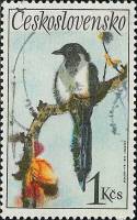 (1972-063) Марка Чехословакия "Сорока"    Певчие птицы III Θ