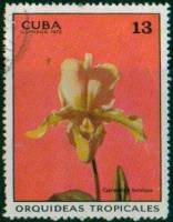 (1972-014) Марка Куба "Буколический башмачок"    Орхидеи III O