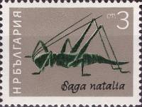 (1964-029) Марка Болгария "Сага (дыбка)"   Насекомые III Θ