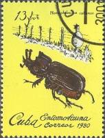 (1980-005) Марка Куба "Жук Калосома"    Насекомые II Θ