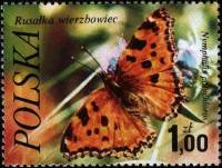 (1977-035) Марка Польша "Многоцветница"    Бабочки III O