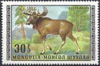 (1970-005) Марка Монголия "Лось"   Дикие животные Монголии III O