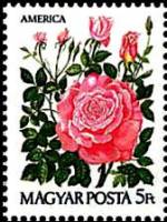 (1986-020) Марка Венгрия "Красные розы"    Международная выставка марок AMERIPEX 86, Чикаго III Θ