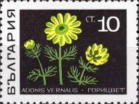(1969-006) Марка Болгария "Горицвет весенний"   Лекарственные растения II Θ