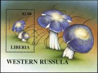 (№1998-177) Блок марок Либерия 1998 год "Сыроежка Западная", Гашеный