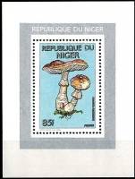 (№1991-56) Блок марок Нигер 1991 год "Мухомор rubescens", Гашеный