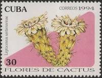 (№3766) Марка Куба 1994 год "Leptocereus santamarinae", Негашеная