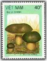 (1987-116) Марка Вьетнам "Боровик бронзовый"    Грибы III Θ