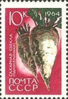 1964-092 Марка СССР Сахарная свёкла Перф. рам. 11½   Сельскохозяйственные культуры III O