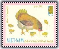 (1968-007) Марка Вьетнам "Курица с цыплятами"   Домашние птицы II Θ