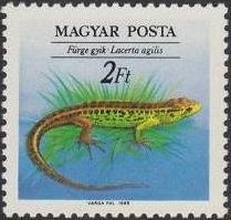 (1989-035) Марка Венгрия "Прыткая ящерица"    Охрана природы. Рептилии II &Theta;