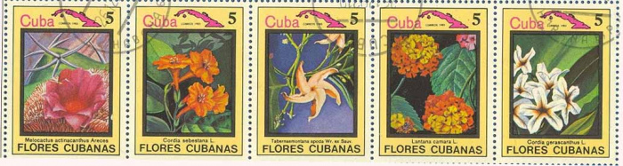 (1983-079d) Сцепка (5 м) Куба &quot;Цветы&quot;    Цветы III Θ