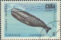 (1984-015) Марка Куба "Кашалот"    Киты и дельфины III Θ