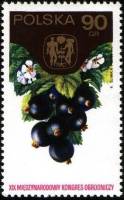 (1974-039) Марка Польша "Черная смородина "    19 Международный садоводческий конгресс II Θ
