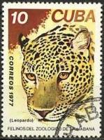 (1977-072) Марка Куба "Леопард"    Зоопарк в Гаване II O