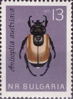 (1964-031) Марка Болгария "Жук-кузька посевной"   Насекомые III Θ