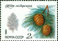 1980-089  Марка СССР Сибирский кедр   Охраняемые породы деревьев и кустарников III Θ