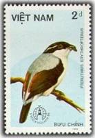 (1986-052) Марка Вьетнам "Белобровый сорокопут"    Птицы III Θ