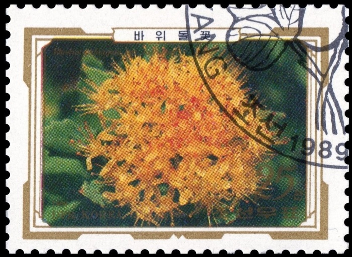 (1989-073) Марка Северная Корея "Горец живородящий"   Альпийские цветы III &Theta;