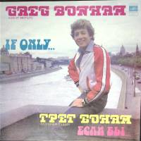 Пластинка виниловая Грег Бонам Если бы Мелодия 300 мм. (Сост. отл.)