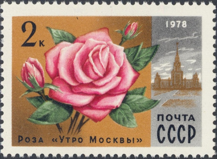1978-032 Марка СССР Роза Утро Москвы  Цветы Москвы III Θ