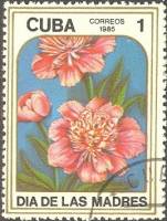(1985-036) Сцепка (2 м) Куба "Пион"    Цветы III Θ