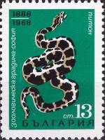 (1968-046) Марка Болгария "Питон"   80-летие Софийского зоопарка III Θ